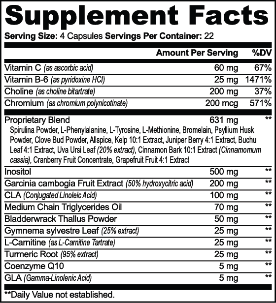 IGNITE - MCT METABOLIC FUEL